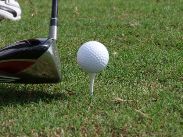 golf, ball, tee-83871.jpg